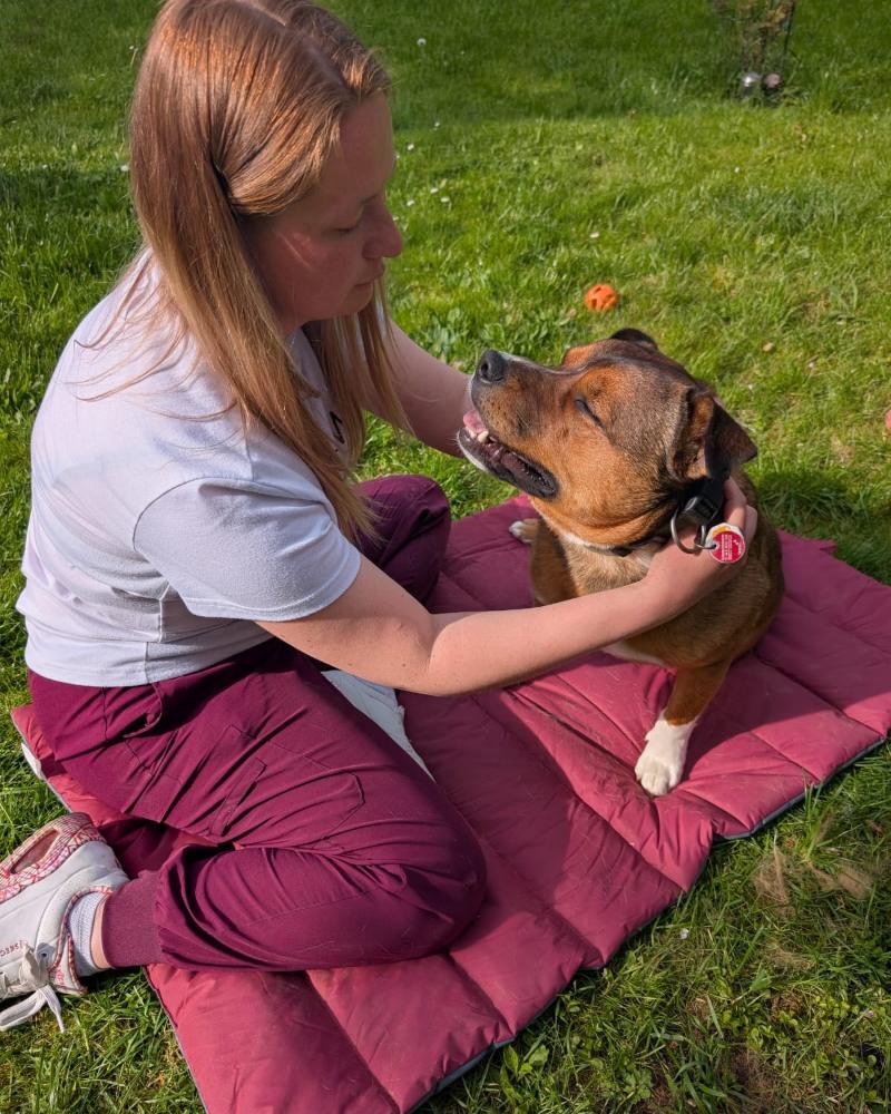Corinna kniet auf einer Wiese neben einem Hund auf einer Decke und hält ihn ruhig am Hals.